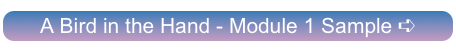 A Bird in the Hand - Module 1 Sample ➪
